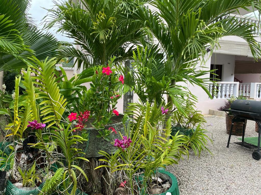 Two-Bedroom Apartment at Mokara Holiday Apartment